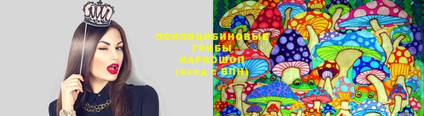 альфа пвп Алексеевка