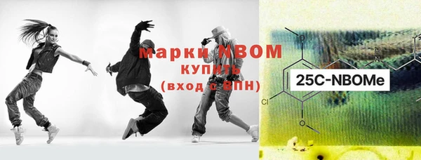 крисы Коряжма