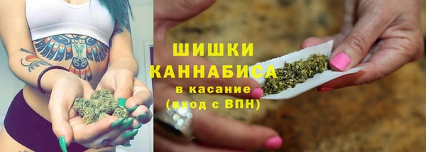тгк Корсаков
