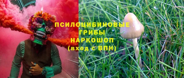 гидропоника Алзамай
