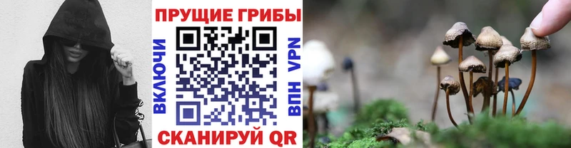 Псилоцибиновые грибы Magic Shrooms Ясный